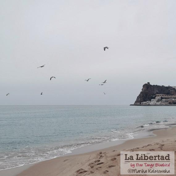 mar-playa-gaviotas