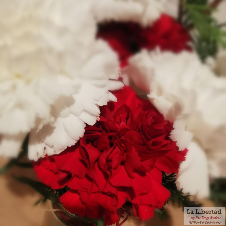 white-red-clavel